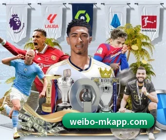 MK体育 APP